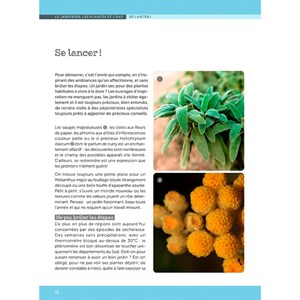 Un jardin sans arrosage ou presque