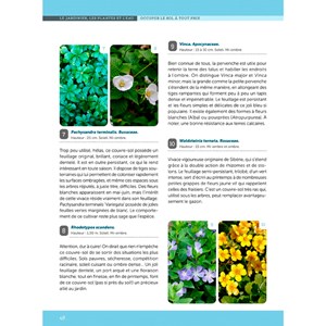 Un jardin sans arrosage ou presque