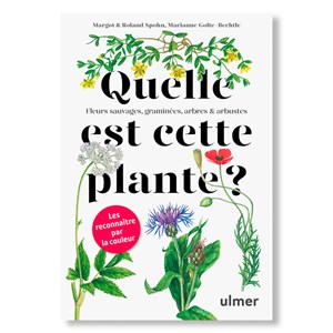 Quelle est cette plante ?