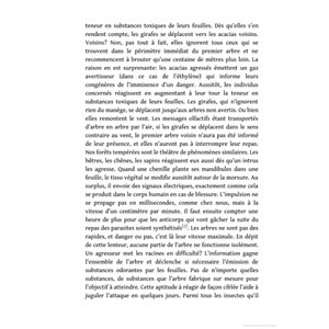 La vie secrète des arbres