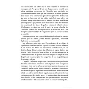 La vie secrète des arbres