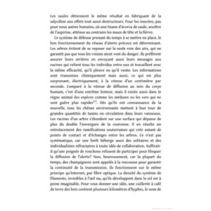 La vie secrète des arbres