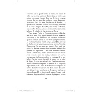 Le parfum des forêts