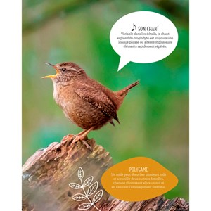 Reconnaître chants des oiseaux du jardin