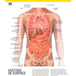 Le grand guide visuel du corps humain