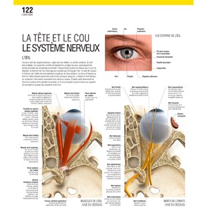 Le grand guide visuel du corps humain