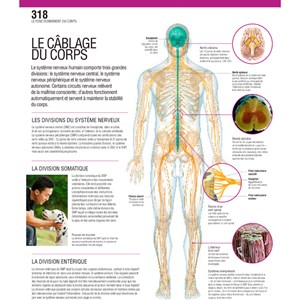Le grand guide visuel du corps humain