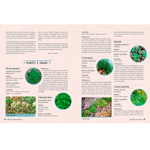 Le guide survie douce en plein nature