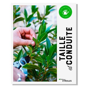 Taille et conduite