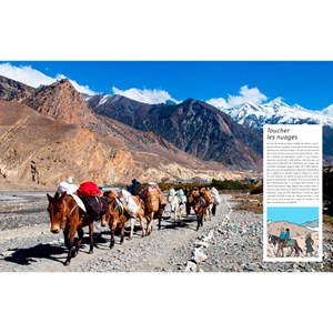 Tintin Un monde sans frontières