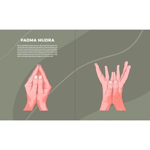 Ma bible du yoga santé