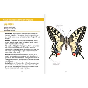 Petit livre de la nature - papillons