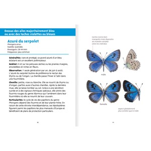 Petit livre de la nature - papillons