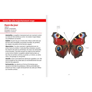 Petit livre de la nature - papillons