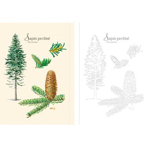 Forêt et nature à colorier