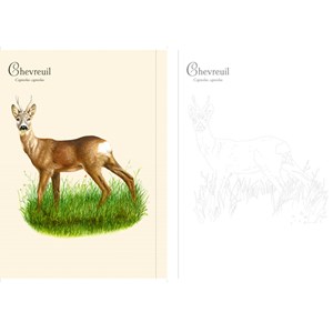 Forêt et nature à colorier