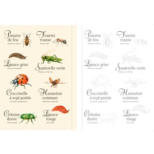 Forêt et nature à colorier