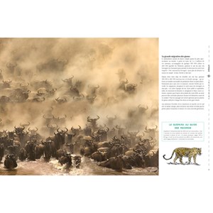 Voyages nature Le Routard