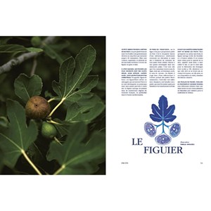 Les recettes de la nature