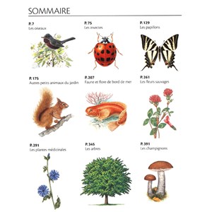 Le grand guide Marabout de la nature