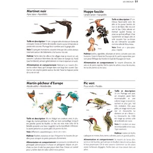 Le grand guide Marabout de la nature