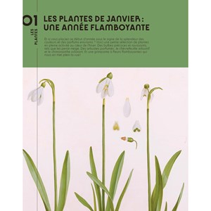 Quatre saisons au jardin