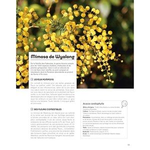 Quatre saisons au jardin