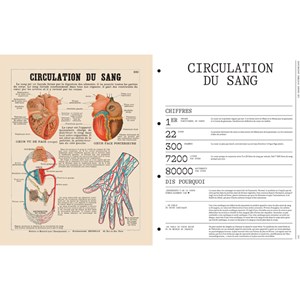 Leçons d'anatomie Deyrolle