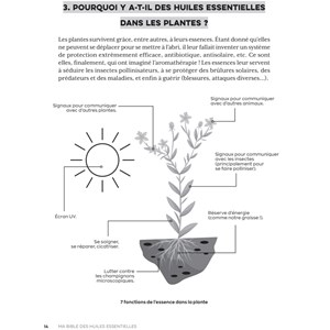 Ma bible des huiles essentielles