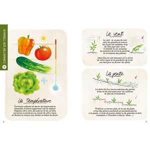 Démarrer son potager en 5 étapes