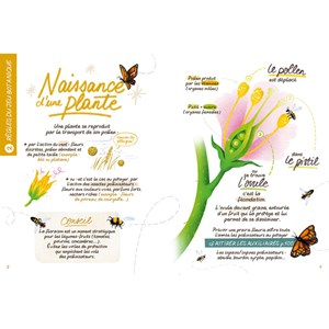 Démarrer son potager en 5 étapes