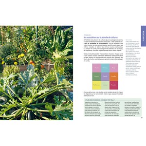 Guide pratique du potager en carrés