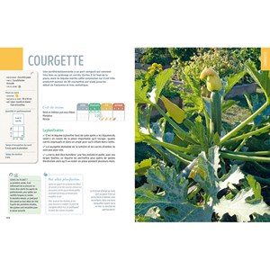Guide pratique du potager en carrés