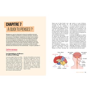 La mécanique du corps