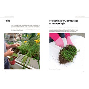 Un jardin d'aromatiques sur mon balcon