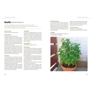 Un jardin d'aromatiques sur mon balcon