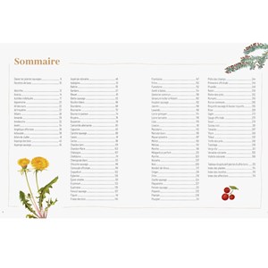 Plantes sauvages comestibles/médicinales