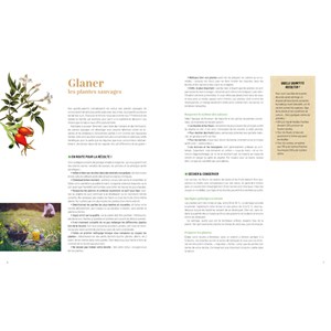 Plantes sauvages comestibles/médicinales