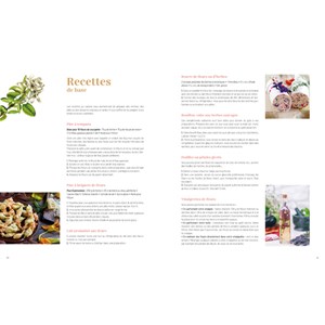 Plantes sauvages comestibles/médicinales