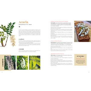 Plantes sauvages comestibles/médicinales