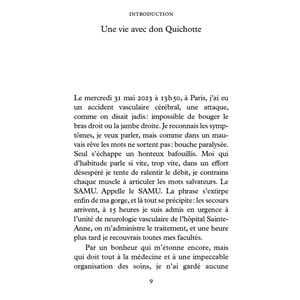 Un été avec Don Quichotte