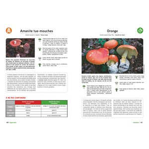 Grand livre des champignons Édition 2025