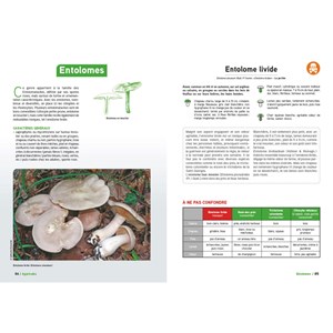 Grand livre des champignons Édition 2025