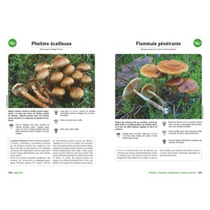Grand livre des champignons Édition 2025