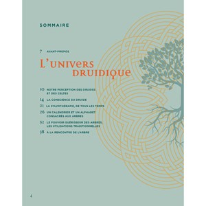 Les arbres sacrés des druides