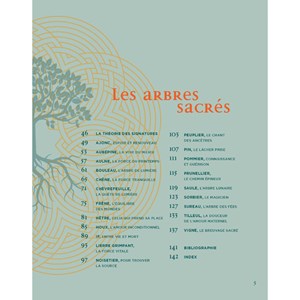 Les arbres sacrés des druides