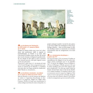 Les arbres sacrés des druides