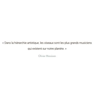 Mes mandalas oiseaux à colorier