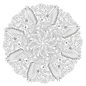 Mes mandalas oiseaux à colorier