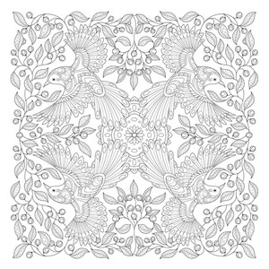 Mes mandalas oiseaux à colorier